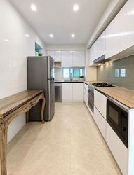 Eight Riversuites (D12), Condominium #618611231